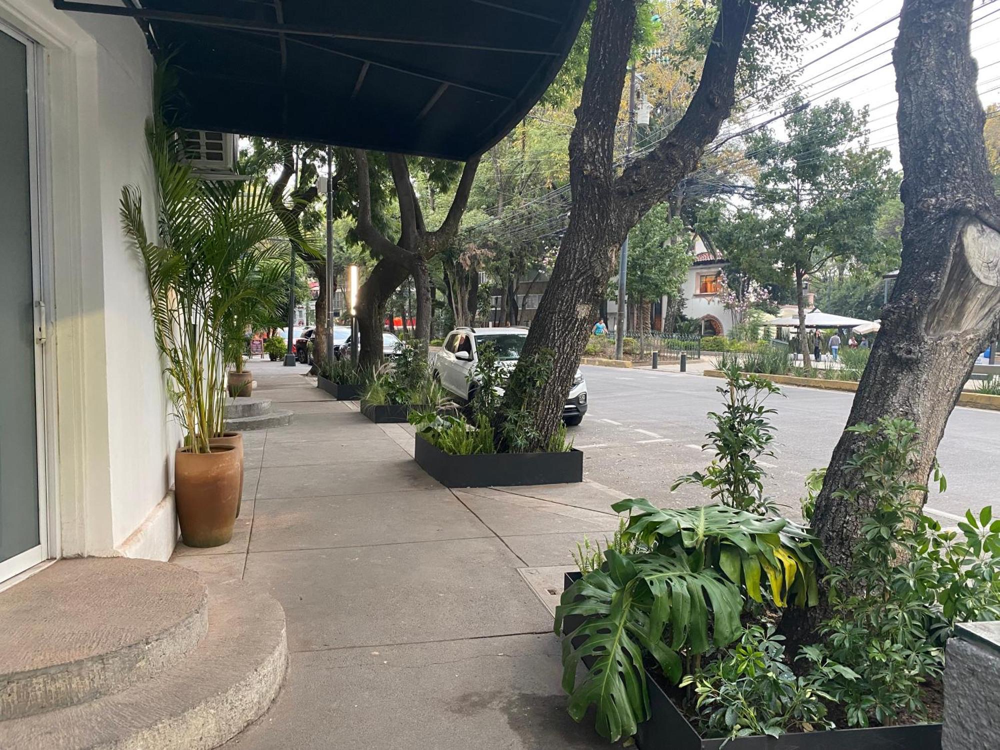 Casa Corp Boutique Suites In Condesa Mexiko-Stadt Exterior foto